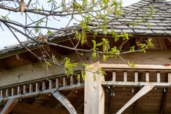 Close up partial view of a wooden gazebo with tree branches near its roof and blue sky