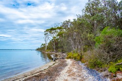 Raymond Island coastal vegetation in Victoria, Australia