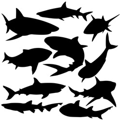 Sharks silhouette vector illustration.