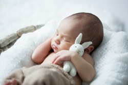 sweet newborn baby sleeps with a toy hare on a white background