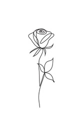 Rose one line art. Flower vector icon