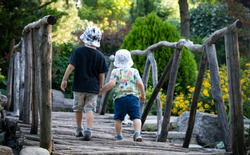 Two brothers sibling boy child crossing little wooden bridge