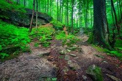 A beautiful landscape of the trail in the Giant Mountains to the Chojnik Castle. Poland