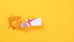 Close up cropped woman hand hold gift certificate card coupon voucher on birthday holiday party or store isolated through torn yellow background studio. Copy space text place. Advertising area mock up