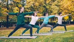 Yoga class is doing stretching exercises in park enjoying autumn nature, fresh air and physical activity. Well-being, recreation and sporty young people concept.