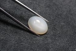 Natural milky light gray color opaque oval cabochon shaped moonstone polished gemstone setting for making jewelry. Mined in India, polished in Thailand. Hold in tweezers. Gemology theme, lapidary.