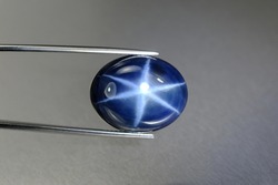 Natural 6 rays blue star sapphire gemstone in tweezers. Heated, diffusion treated, opaque, oval cabochon polished loose setting for making jewelry. Natural mined genuine corundum. Gemology, mineralogy