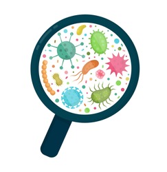Bacterial microorganism in microscope circle. Bacteria,germs infection set,micro-organisms,microbiome,bacteria, viruses,fungi,protozoa,probiotics under magnify,magnifier.Vector flat illustration icon
