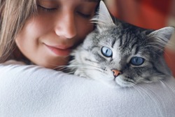 Woman at home in light room holding and hug her lovely fluffy cat. Gray tabby cute kitten with blue eyes. Pets, friendship, trust, love, and lifestyle concept. Friend of human. Animal lover. Close up.