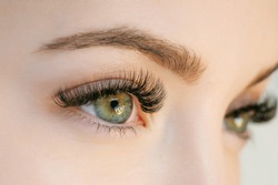 Close up view of beautiful green female eye with long eyelashes, smooth healthy skin. Eyelash extension procedure. Perfect trendy eyebrows. Good vision, contact lenses. Eye health and care. 