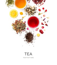 Creative layout made of cups of tea, green tea, black tea, fruit and herbal tea, sencha, hibiscus, ginger on white background.Flat lay. Food concept.