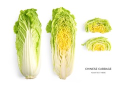 Creative layout made of chinese cabbage on a white background. Top view. Food concept.