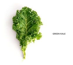 Creative layout made of kale. Flat lay. Food concept.