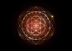 Seed of life symbol Sacred Geometry.  Geometric mystic mandala of alchemy esoteric Flower of Life. Gold luxury design, vector divine meditative amulet isolated on black background