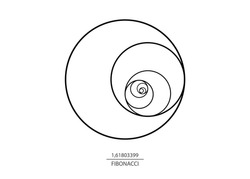 Fibonacci Sequence Circle. Golden ratio. Geometric shapes spiral. Circles in golden proportion. Futuristic minimalist fashion design. Logo. Vector icon isolate on white background 