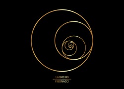 Fibonacci Sequence Circle. Golden ratio. Geometric shapes spiral. Circles in golden proportion. Futuristic minimalist fashion design. Luxury gold Logo. Vector icon isolate on black background 