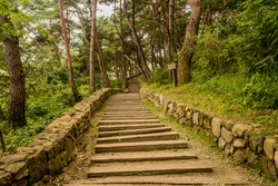 Wooden steps between boulder walls ascending up side mountain in recreational forest.