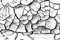 The cracks texture white and black