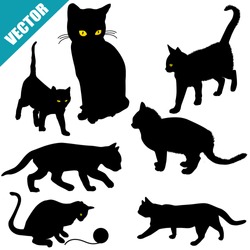 Silhouettes of cats on white background, vector illustration