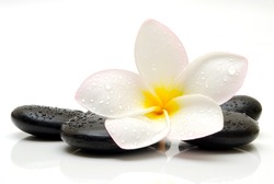  zen stones with frangipani flower