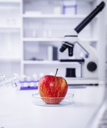 Red Apple to selection in Microbiological laboratory.Chemical Laboratory of the Food supply.Food in laboratory.GMO Genetically modified food in lab..