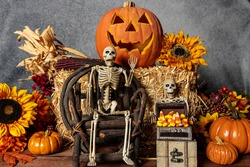 Halloween with skeletons candy corn jack o lantern fall pumpkins and autumn sunflowers