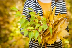 Young girl with leaves in her hands. Autumn october background. Close up