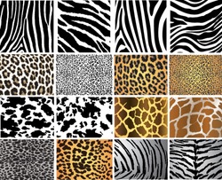 Highly detailed animal skin vector pack - 16 different pattern