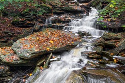 Whitewater splashes down Ganoga Glen in Pennsylvania's Ricketts Glen State Park on a rainy autumn day.