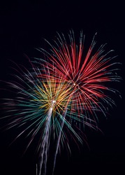 Colorful fireworks paint the night sky.
