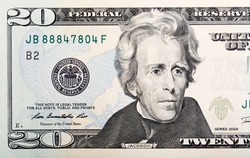Twenty paper U.S. dollars bill macro.