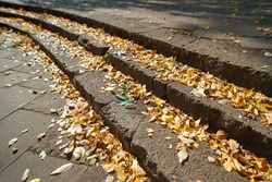 Autumn stairway, old staircase in autumn park covered with fallen leafs. Steps with autumn leaves. Autumn landscape. Uncleaned concrete stair in park and territory of the city park