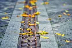 Drain blocked by colorful leaves in autumn season. Fallen leaves over footpath cover metal drainage grid. Leaves in drain sewer. Metal grid covered with yellow leaves. Selective Focus