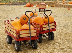 Red wagon full of pumpkins