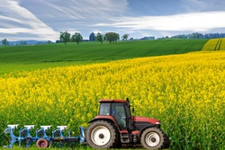 tractor with plough drives along beautiful sweeping blossoming bright yellow canola fields, concept for agriculture business