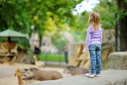 Cute little girl watching animals at the zoo on warm and sunny summer day. Child admiring zoo animals. Family time at zoo.
