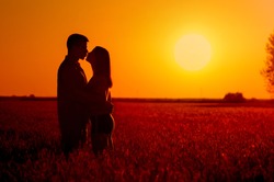 Young couple kissing in the field of wheat on sunny summer day.