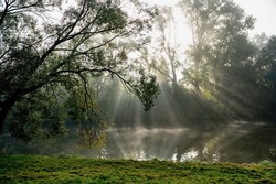 Sunny morning with sun ray through tree and water on river bank, Kolodeje nad Luznici.