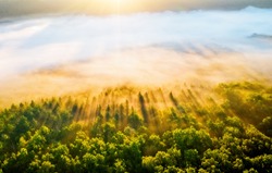 Splendid misty view of tree tops with the rays of morning light. Location place Dniester canyon of Ukraine, Europe. Aerial photography, drone shot. Photo wallpaper. Discover the beauty of earth.