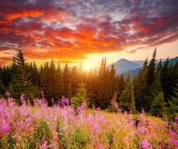 Spectacular sunset in the valley of the mountains. Location place Carpathian mountains, Ukraine, Europe. Vibrant photo wallpaper. Picturesque nature photography. Discover the beauty of earth.