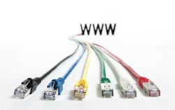 Colorful network cables connected to WWW, isolated on white background.