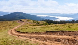 Dirt road in the Carpathian mountains. Ukraine.