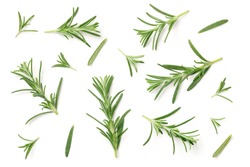 Rosemary isolated on white background. Flat lay. Top view