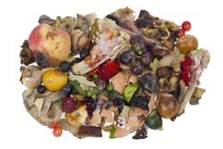 Garbage dump rotten food waste isolated concept 