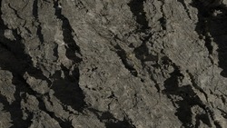 earth or rock surface texture with corrosion for background.