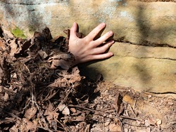 Woman hand with fingers climb up on rock from rotten leaves. Fingers pointing up