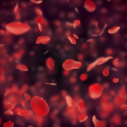 valentine  background with falling red rose petals on black bg