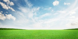 Green grass field and blue sky summer landscape background