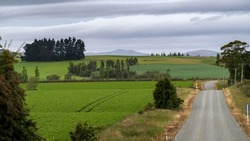 Dirt road passing through countryside, Longridge North, Southland, New Zealand
