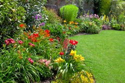 Green lawn in a colorful landscape formal garden. Beautiful Garden.